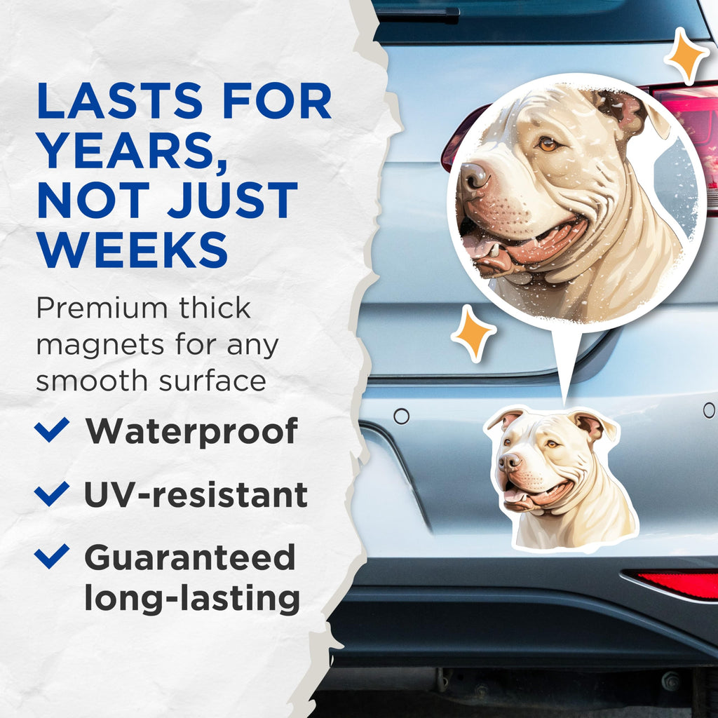 (2 Pack) Pitbull Dog Magnets - Cream Pitbull Face - Happy Pet Lover Decor - 5 Inches On Longest Side - Thick Durable Magnet - Made in USA - MAG28582