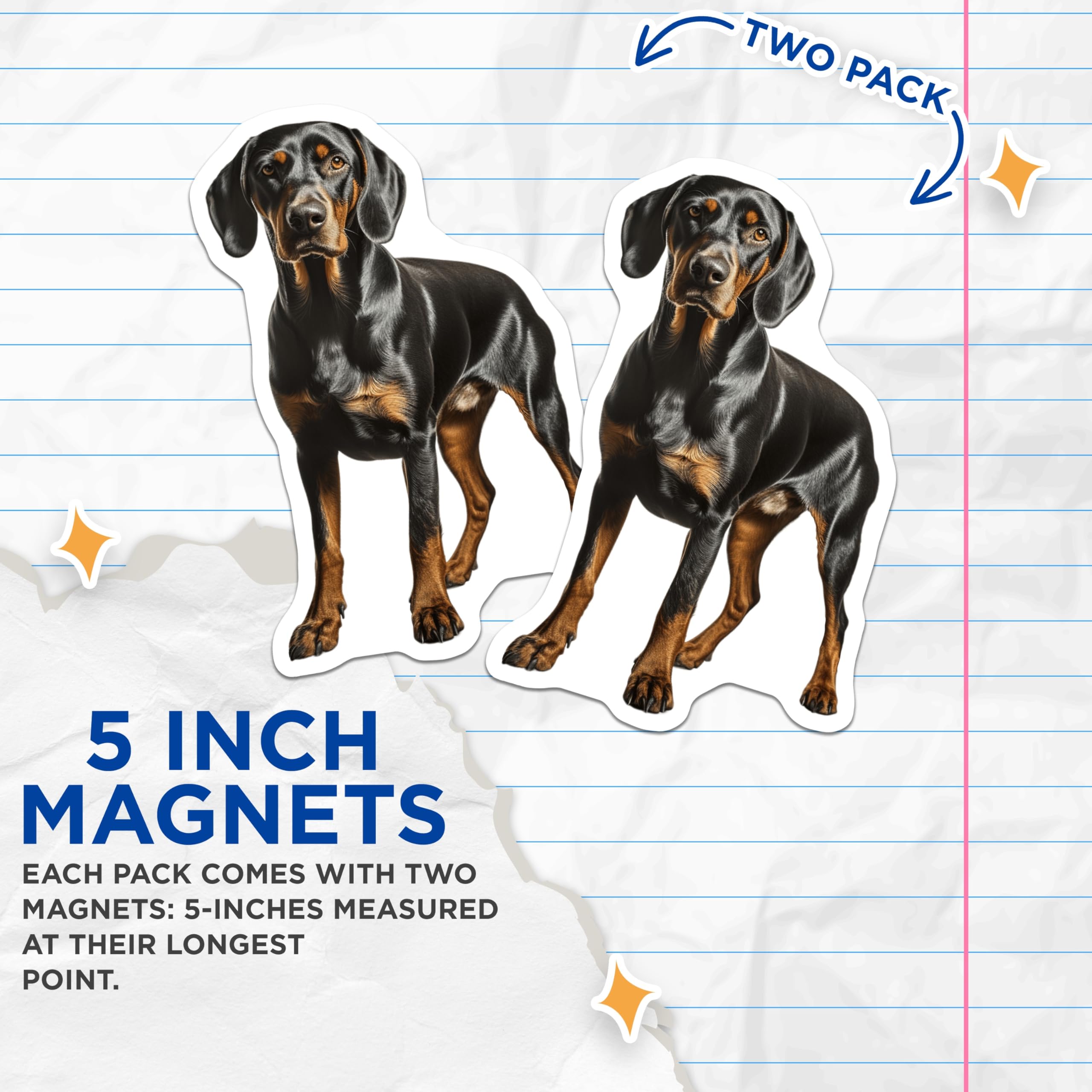 (2 Pack) Doberman Pinscher Magnets - Black Tan Dog Decor - Pet Lover Refrigerator Magnets - 5 Inches On Longest Side - Thick Durable Magnet - Made in USA - MAG27677