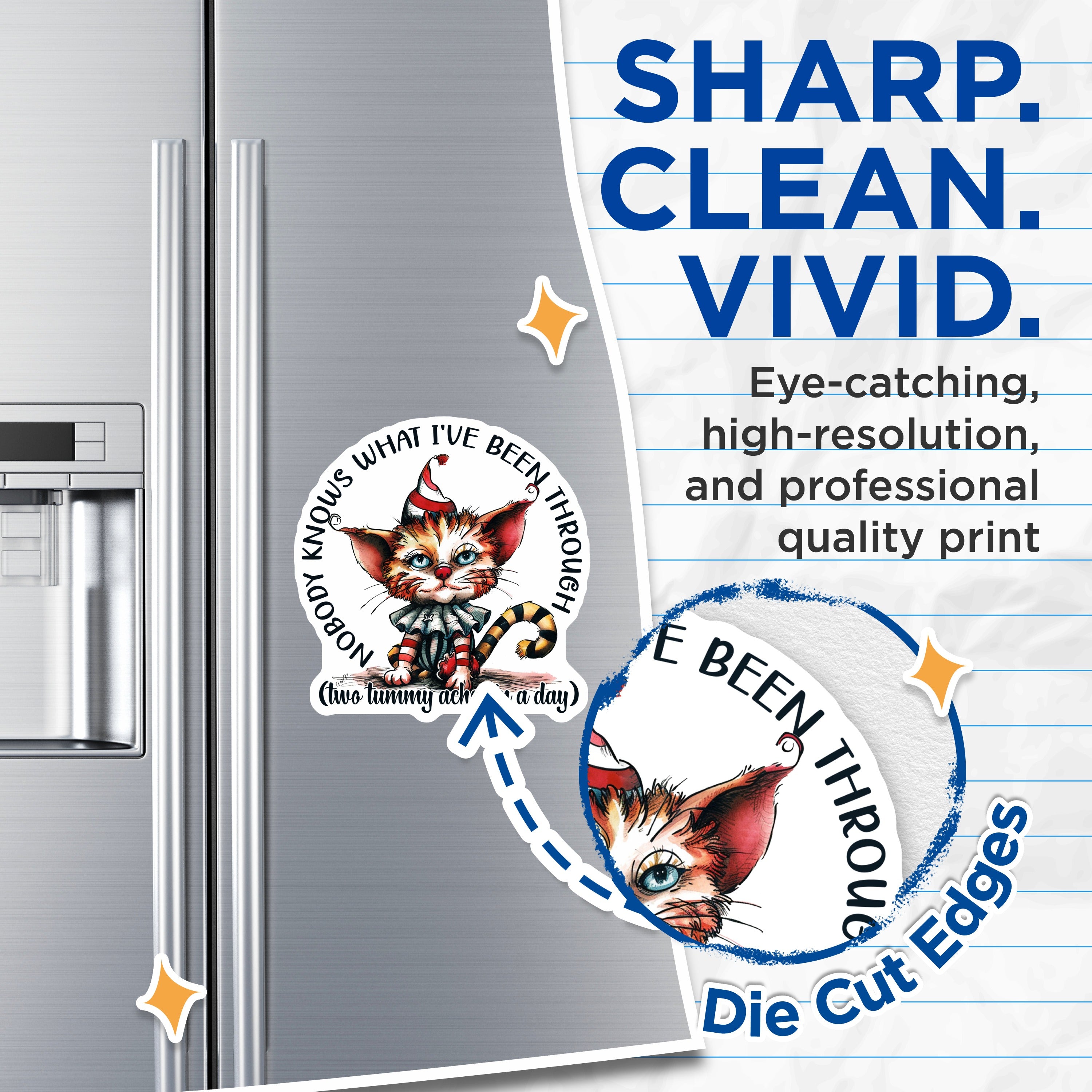 (2 Pack) Funny Cat Magnets - Whimsical Tummy Ache Quote - Sarcastic Cat Lover Decor - 5 Inches On Longest Side - Thick Durable Magnet - Made in USA - MAG39033