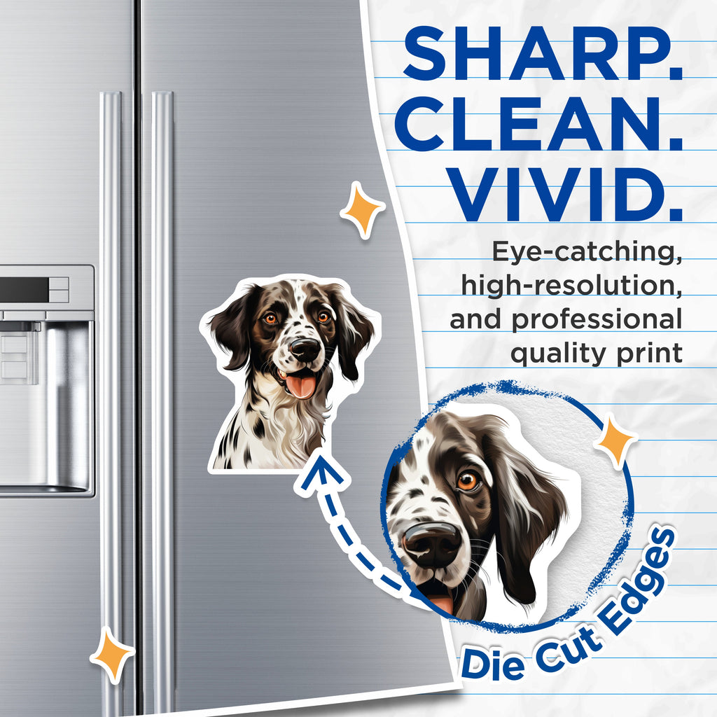 (2 Pack) Springer Spaniel Magnets - Happy Dog Art - Pet Lover Fridge Decor Collectible - 5 Inches On Longest Side - Thick Durable Magnet - Made in USA - MAG37254