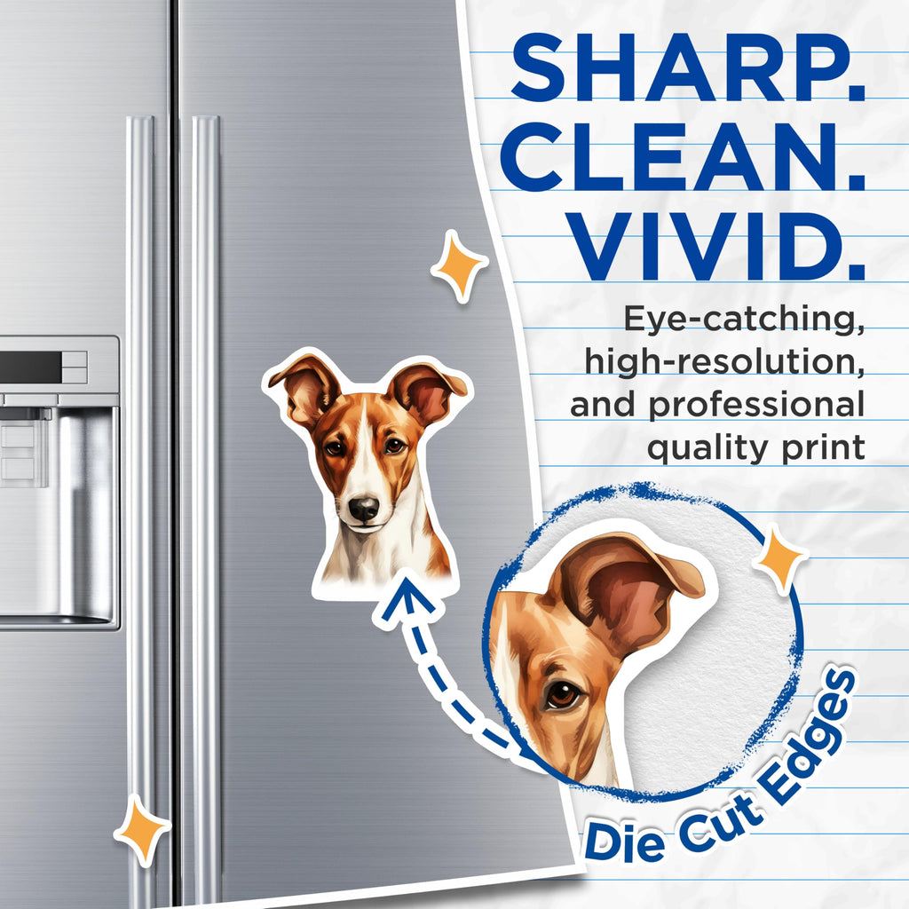 (2 Pack) Jack Russell Terrier Magnets - Dog Art Refrigerator Decor - Pet Lover Kitchen Accessories - 5 Inches On Longest Side - Thick Durable Magnet - Made in USA - MAG23399