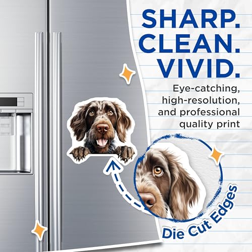 (2 Pack) Animal Lover Decor Magnet - Fun Fridge Accessories - Canine Art Collection - Kitchen Organizer - 5" On Longest Side - Sticks to Smooth Flat Surfaces - Made in USA - MAG10177