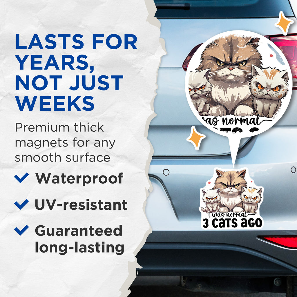 (2 Pack) Funny Cat Magnets - Grumpy Cat Lover Fridge Art - Multi Cat Mom Humor Decor - 5 Inches On Longest Side - Thick Durable Magnet - Made in USA - MAG36605