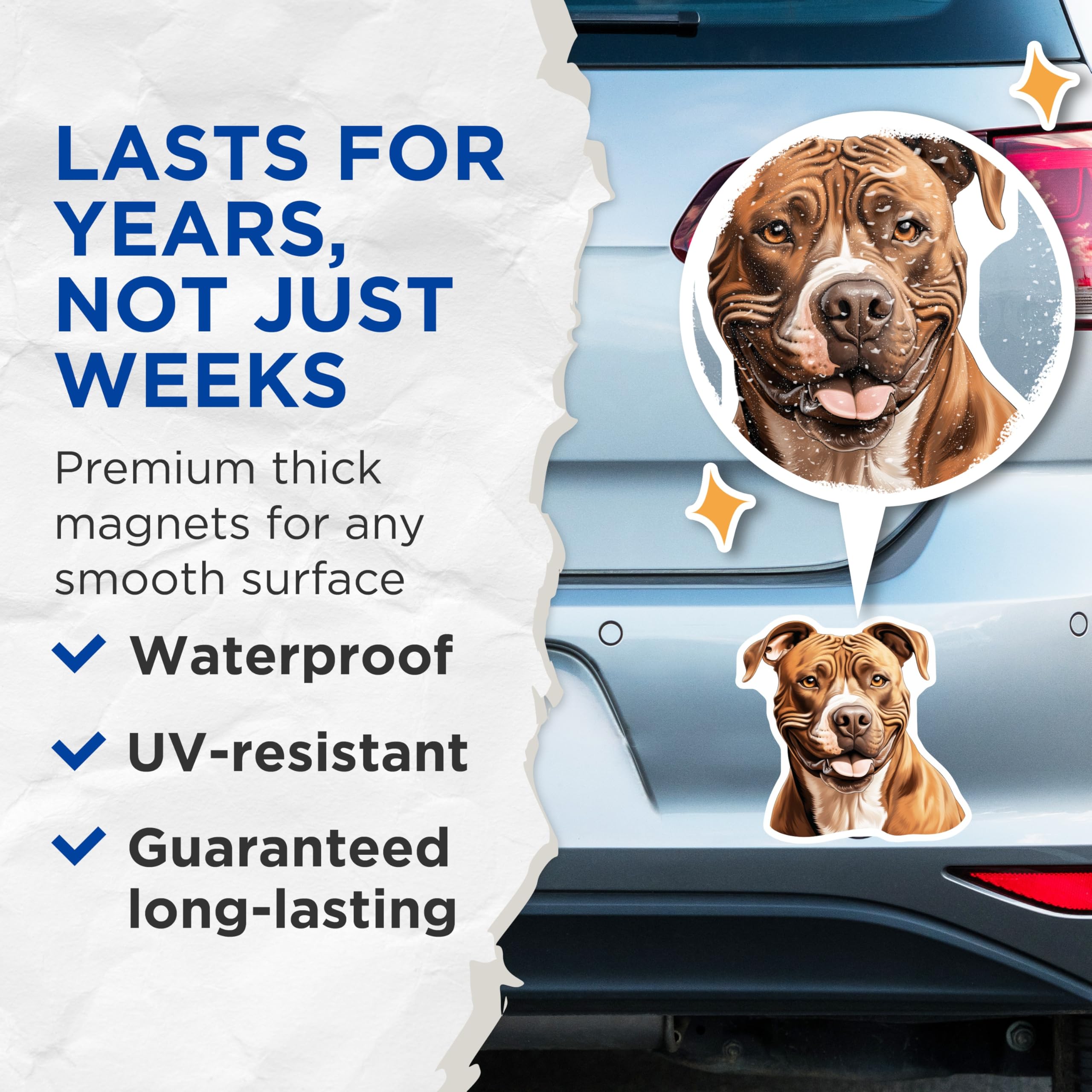 (2 Pack) Pitbull Magnets - Happy Pitbull Decor - Dog Lover Accessories for Pet Owners - 5 Inches On Longest Side - Thick Durable Magnet - Made in USA - MAG26987