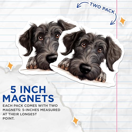(2 Pack) Pet Lover Decor Magnet - 5" On Longest Side - Sticks to Smooth Flat Surfaces - Made in USA - MAG10271