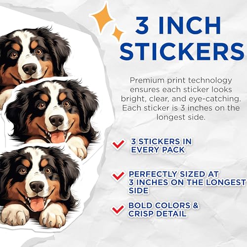 (3 Pack) Bernese Mountain Dog Decals - Cute Dog Laptop Decal - Animal Decal - 3 Inches On Longest Side - Easy Peel & Apply - Made in USA - 3MCS8629