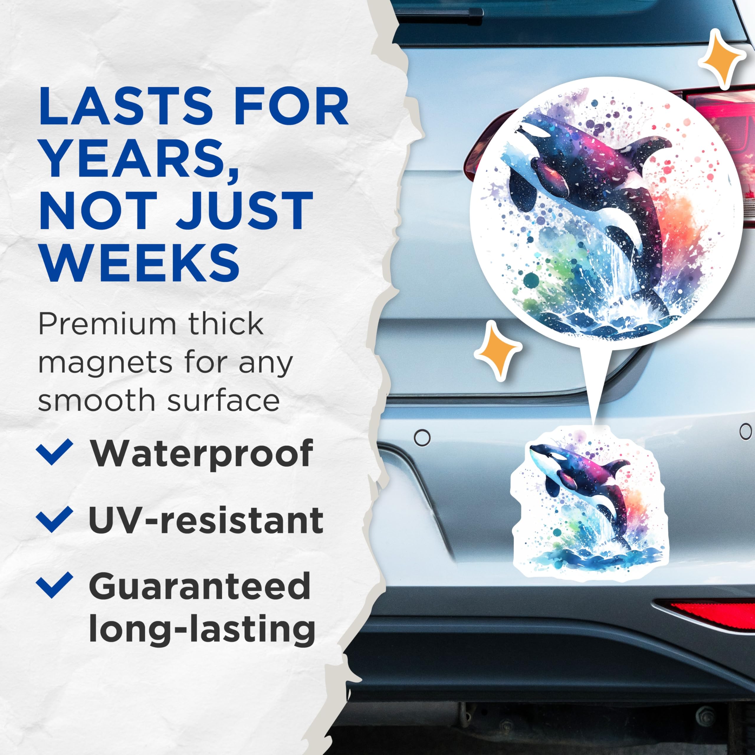 (2 Pack) Orca Whale Magnets - Watercolor Killer Whale - Fridge Magnets - 5" On Longest Side - Premium Magnet - for Cars, Refrigerators, Toolboxes, Lockers - Made in USA - MAG15843