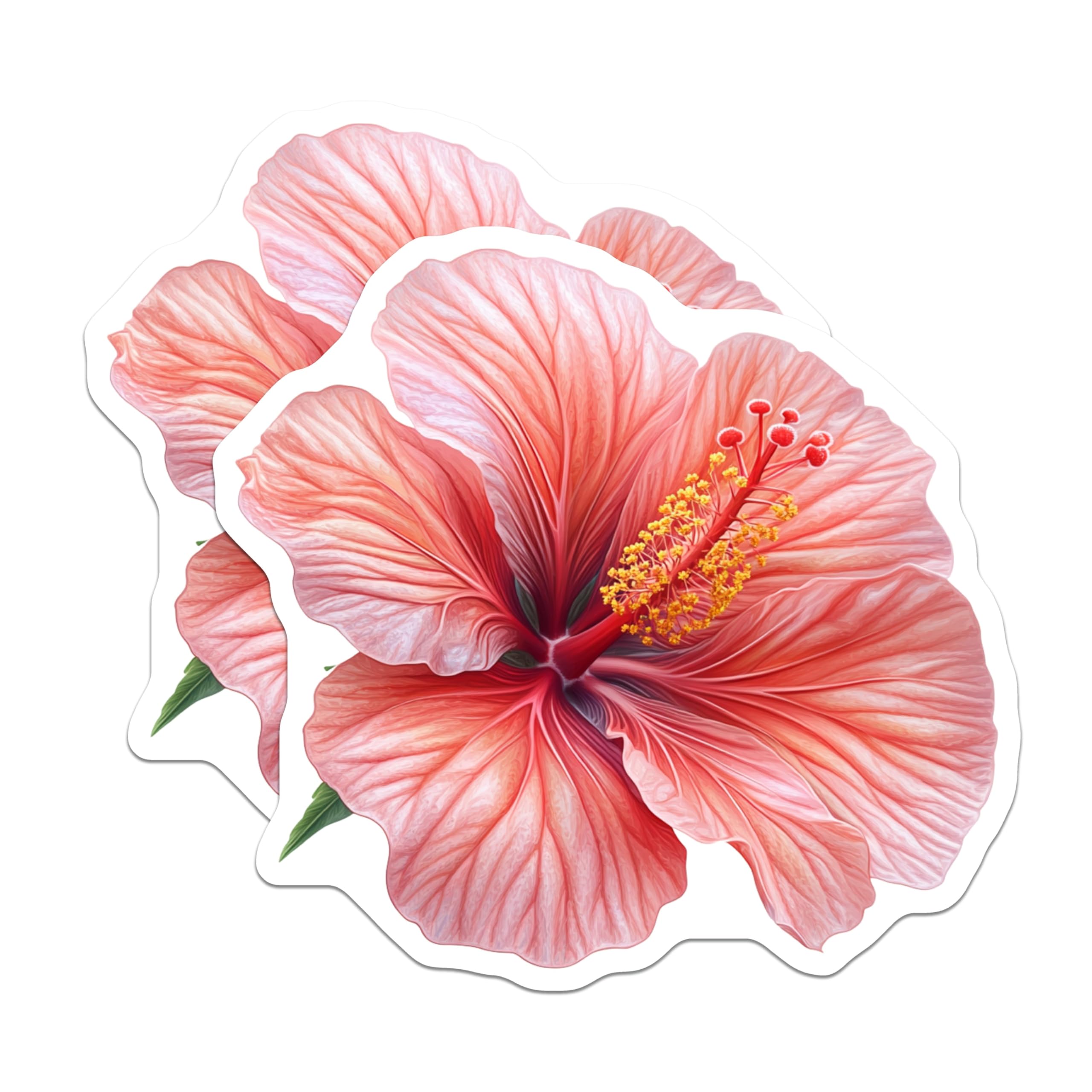 (2 Pack) Hibiscus Magnets - Tropical Flower Fridge Decor - Botanical Kitchen Accent - 5 Inches On Longest Side - Thick Durable Magnet - Made in USA - MAG29384