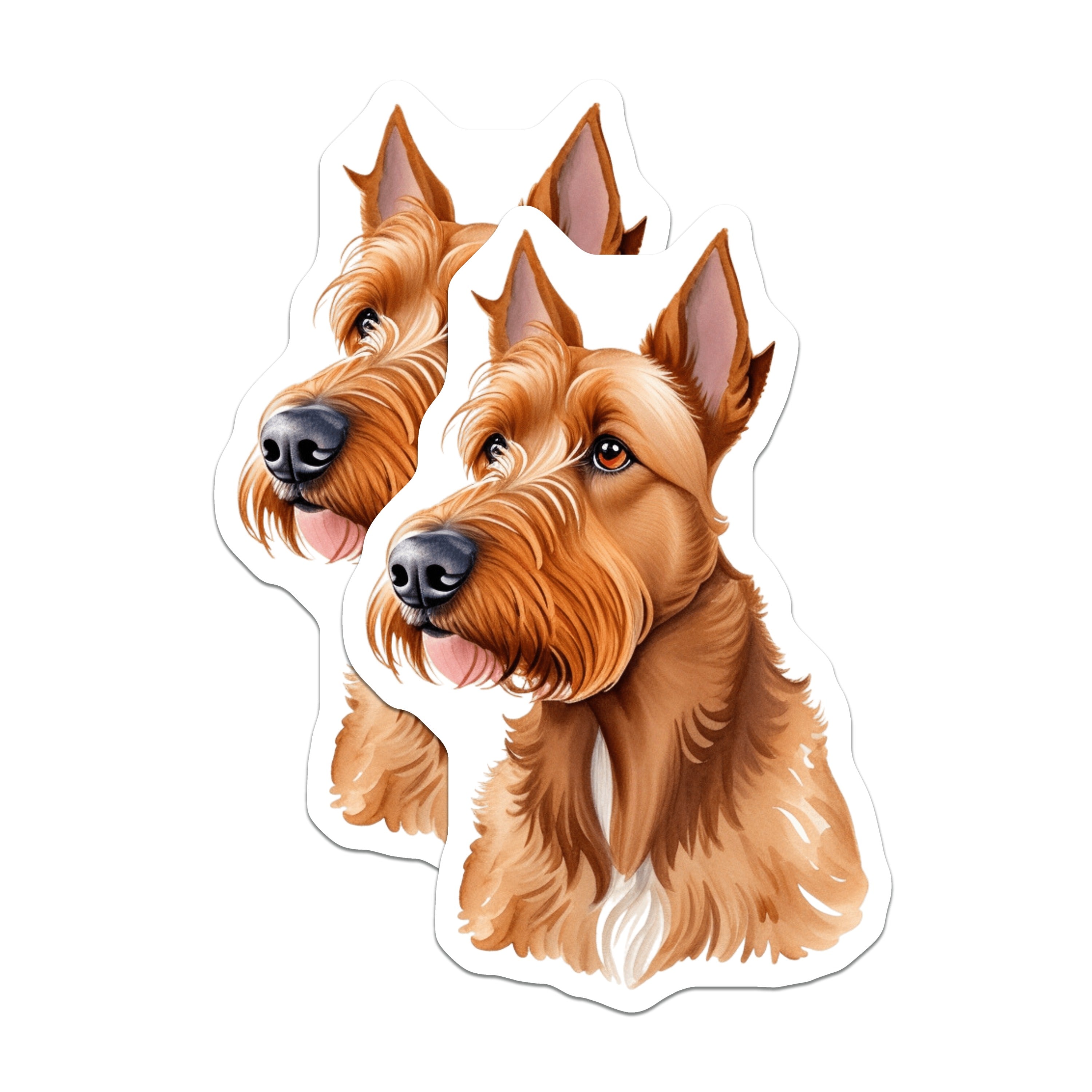 (2 Pack) Irish Terrier Magnets - Dog Breed Refrigerator Decor - Pet Lover Kitchen Accessory - 5 Inches On Longest Side - Thick Durable Magnet - Made in USA - MAG39394