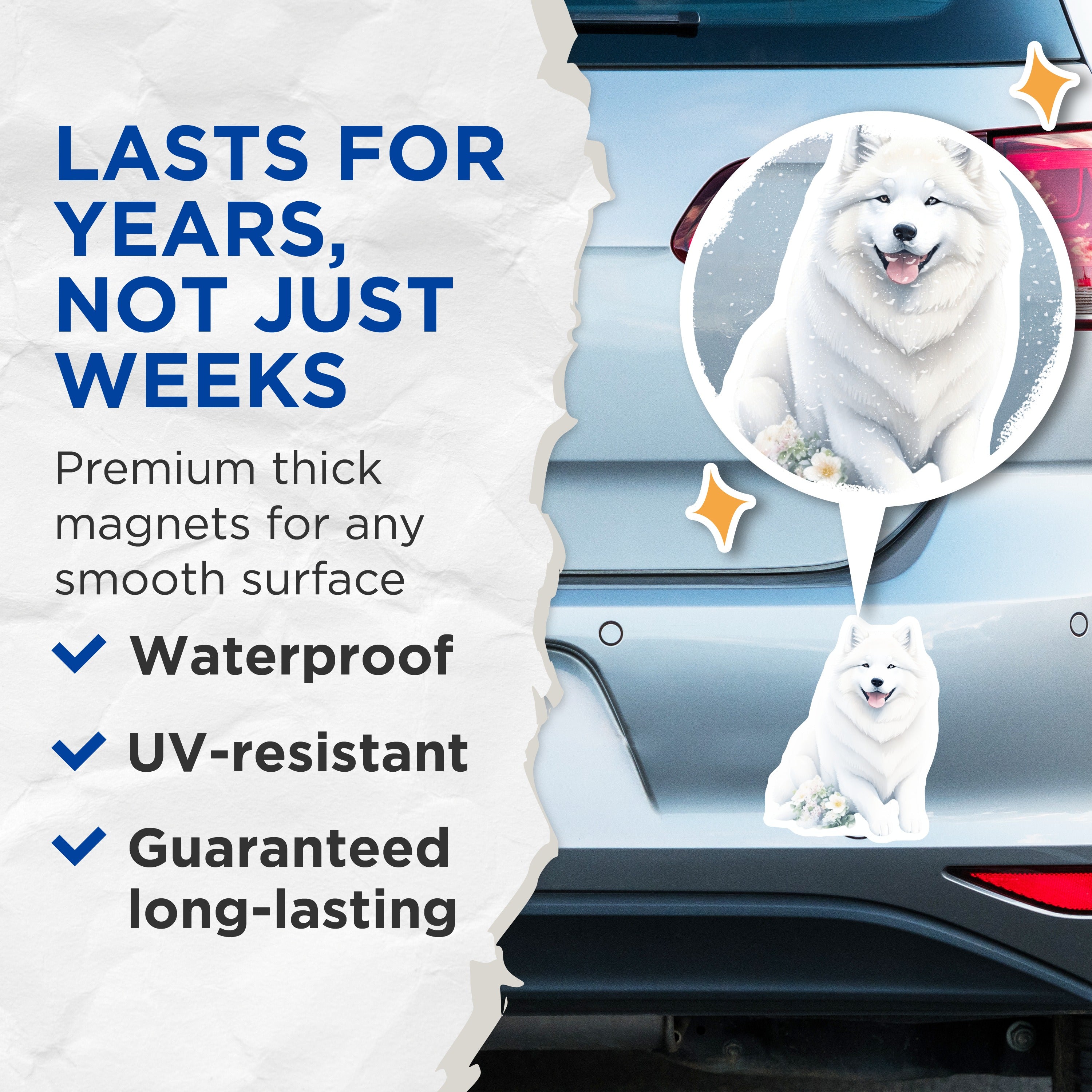 (2 Pack) Samoyed Dog Magnets - White Fluffy Dog Lover Decor - Refrigerator Locker Accents Pet Parent - 5 Inches On Longest Side - Thick Durable Magnet - Made in USA - MAG36182