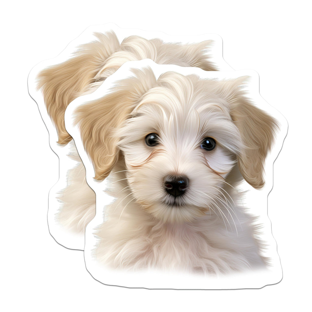 (2 Pack) Adorable Fluffy Puppy Head Magnets - Cute White Dog Refrigerator Decoration - Pet Lover Locker Home Decor - 5 Inches On Longest Side - Thick Durable Magnet - Made in USA - MAG24427
