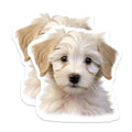 (2 Pack) Adorable Fluffy Puppy Head Magnets - Cute White Dog Refrigerator Decoration - Pet Lover Locker Home Decor - 5 Inches On Longest Side - Thick Durable Magnet - Made in USA - MAG24427