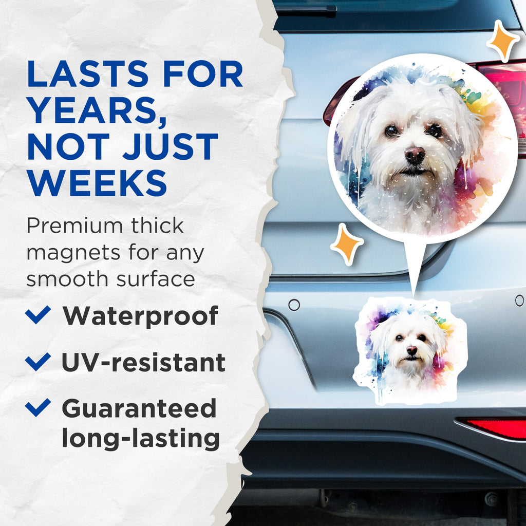 (2 Pack) Watercolor Maltese Dog Magnets - Cute Pet Art - Dog Mom Kitchen Decor - 5 Inches On Longest Side - Thick Durable Magnet - Made in USA - MAG25362