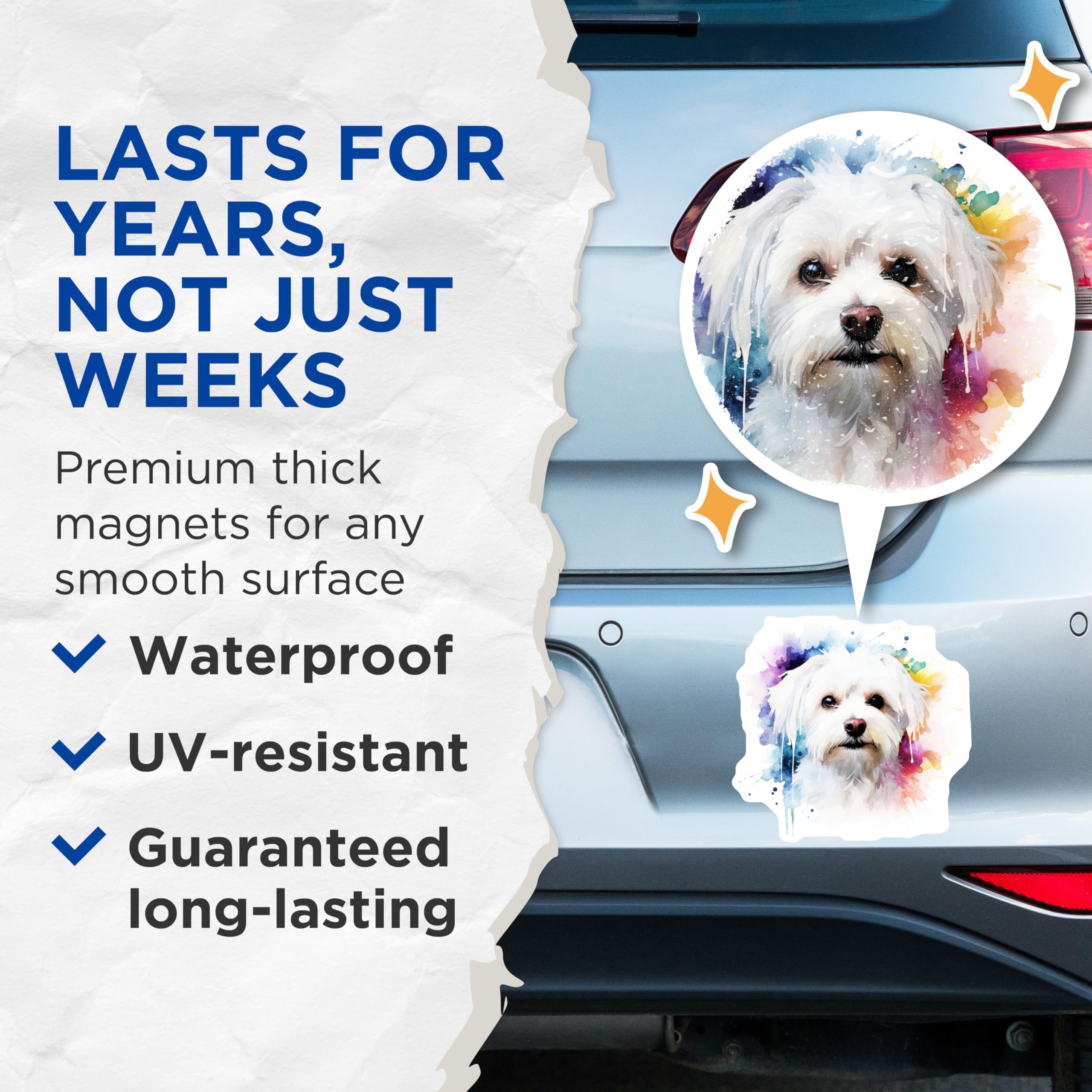 (2 Pack) Watercolor Maltese Dog Magnets - Cute Pet Art - Dog Mom Kitchen Decor - 5 Inches On Longest Side - Thick Durable Magnet - Made in USA - MAG25362