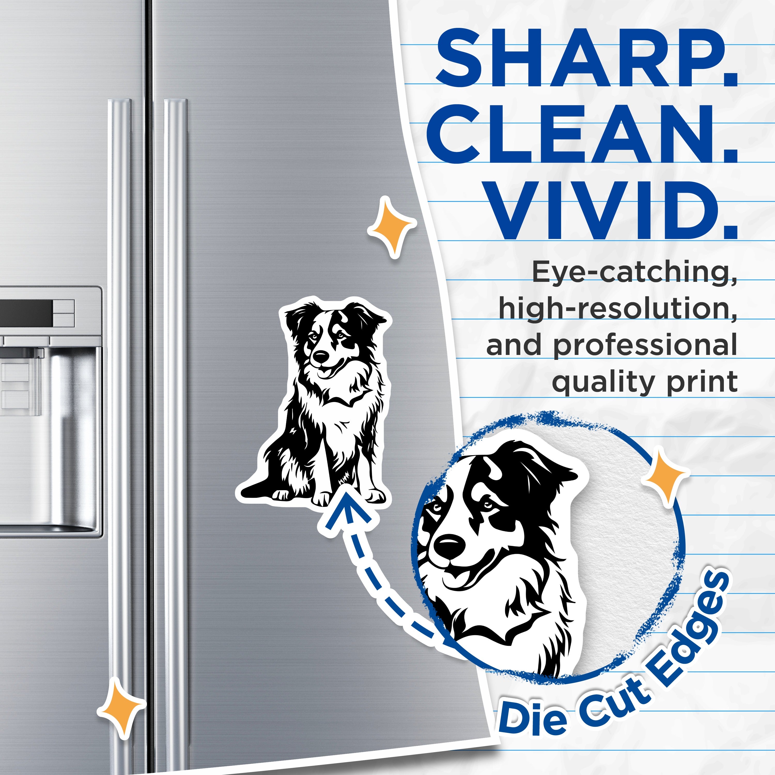 (2 Pack) Border Collie Magnets - Dog Lover Decor - Pet Owner Accessories - 5 Inches On Longest Side - Thick Durable Magnet - Made in USA - MAG36912