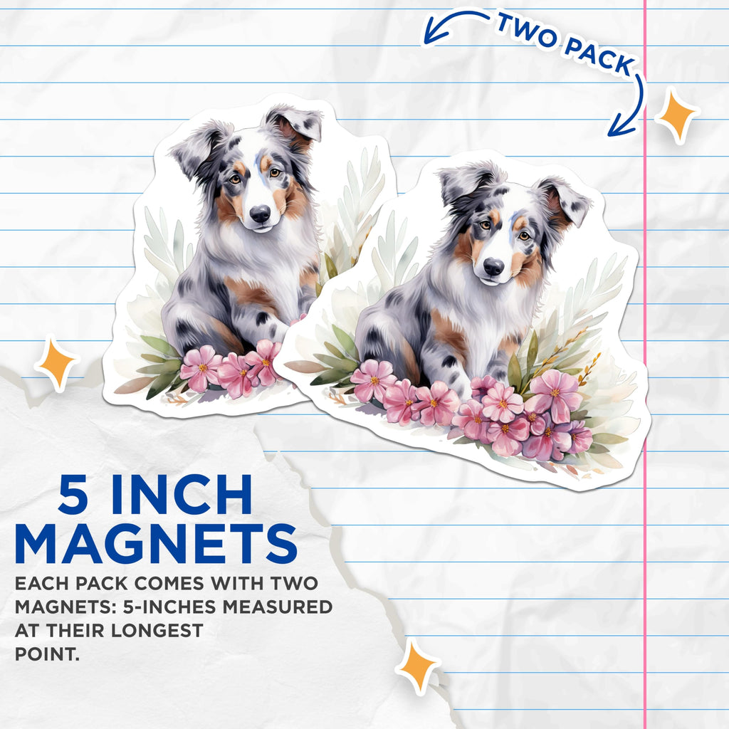 (2 Pack) Australian Shepherd Magnets - Watercolor Dog Art - Cute Aussie Decor - 5 Inches On Longest Side - Thick Durable Magnet - Made in USA - MAG29695