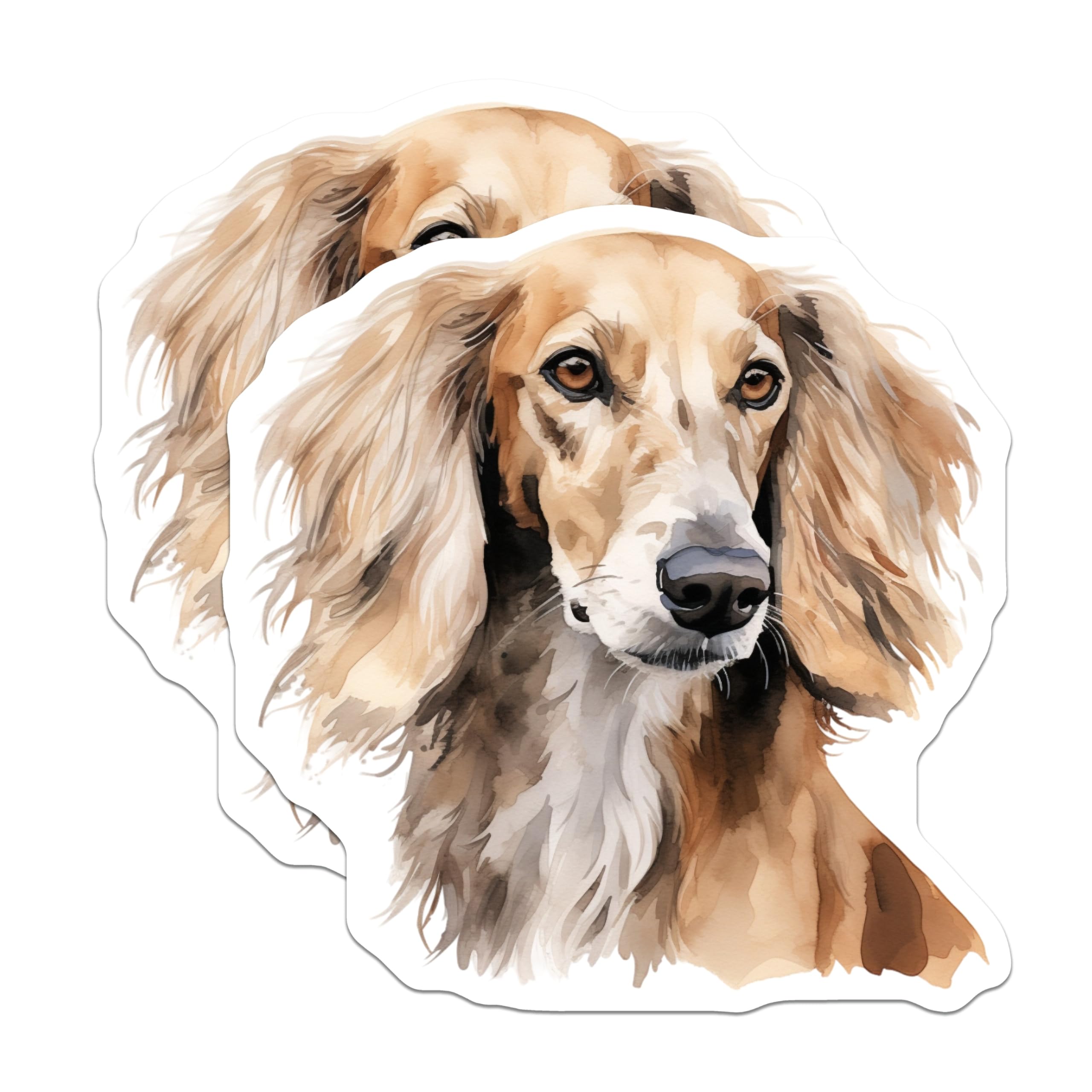 (2 Pack) Saluki Dog Magnets - Watercolor Pet Art - Sighthound Lover Decor - 5 Inches On Longest Side - Thick Durable Magnet - Made in USA - MAG26337