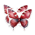 (2 Pack) Watercolor Butterfly Magnets - Aesthetic Nature Decor - Fridge Accent Locker Magnets - 5 Inches On Longest Side - Thick Durable Magnet - Made in USA - MAG36203