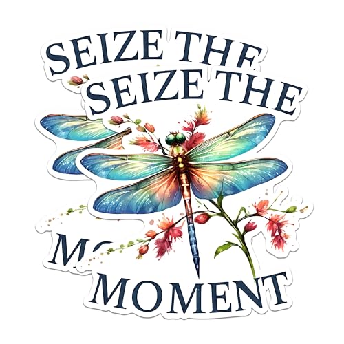 (2 Pack) Seize The Moment Magnets - Inspirational Dragonfly Magnets - Floral Design Decorative Magnets- 5" On Longest Side - for Fridges, Toolboxes, Cars - Made in USA - MAG2682