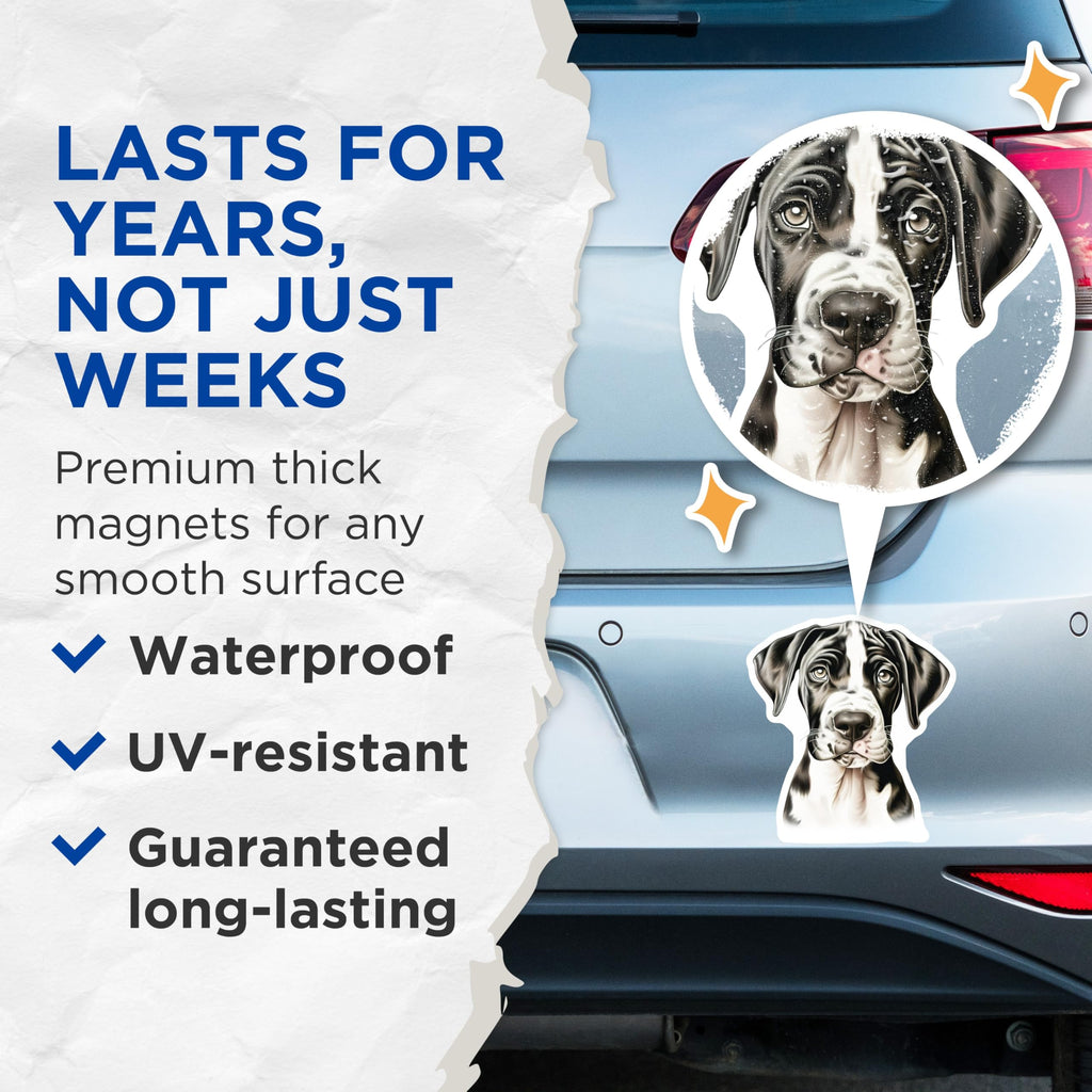 (2 Pack) Harlequin Great Dane Magnets - Cute Puppy Dog Lover - Pet Parent Fridge Decor - 5 Inches On Longest Side - Thick Durable Magnet - Made in USA - MAG29189