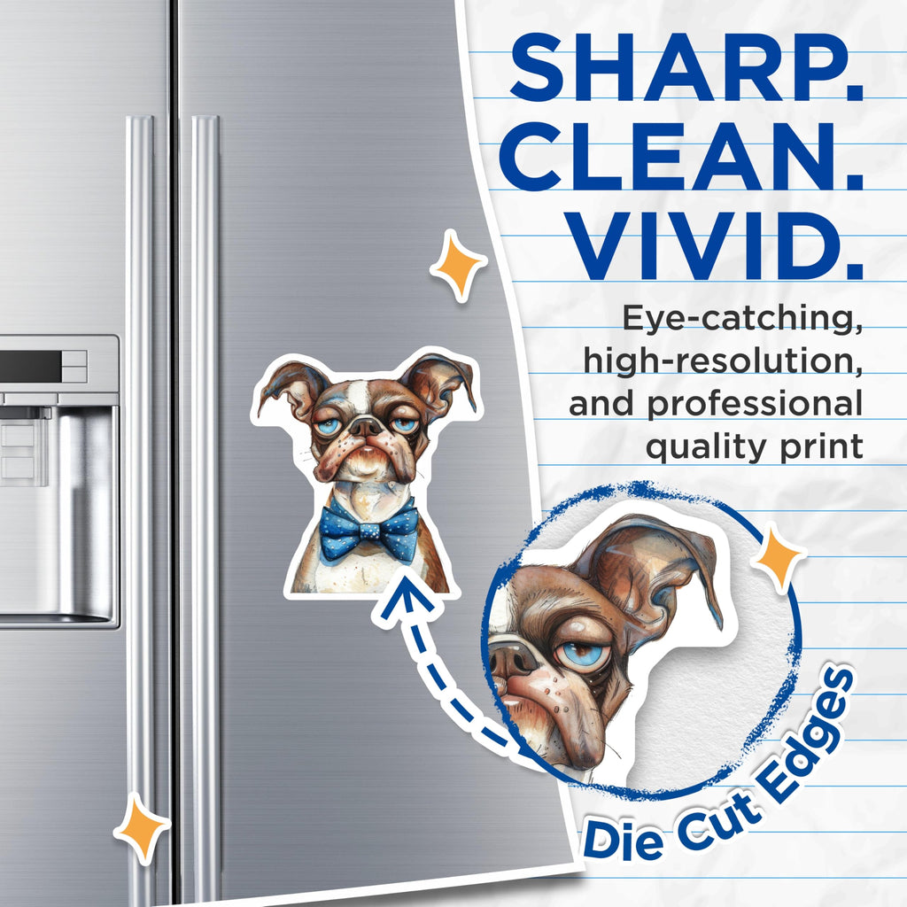 (2 Pack) Grumpy Dog Magnets - Dapper French Bulldog Boston Terrier Art - Pet Lover Decor for Fridge Locker - 5 Inches On Longest Side - Thick Durable Magnet - Made in USA - MAG29892