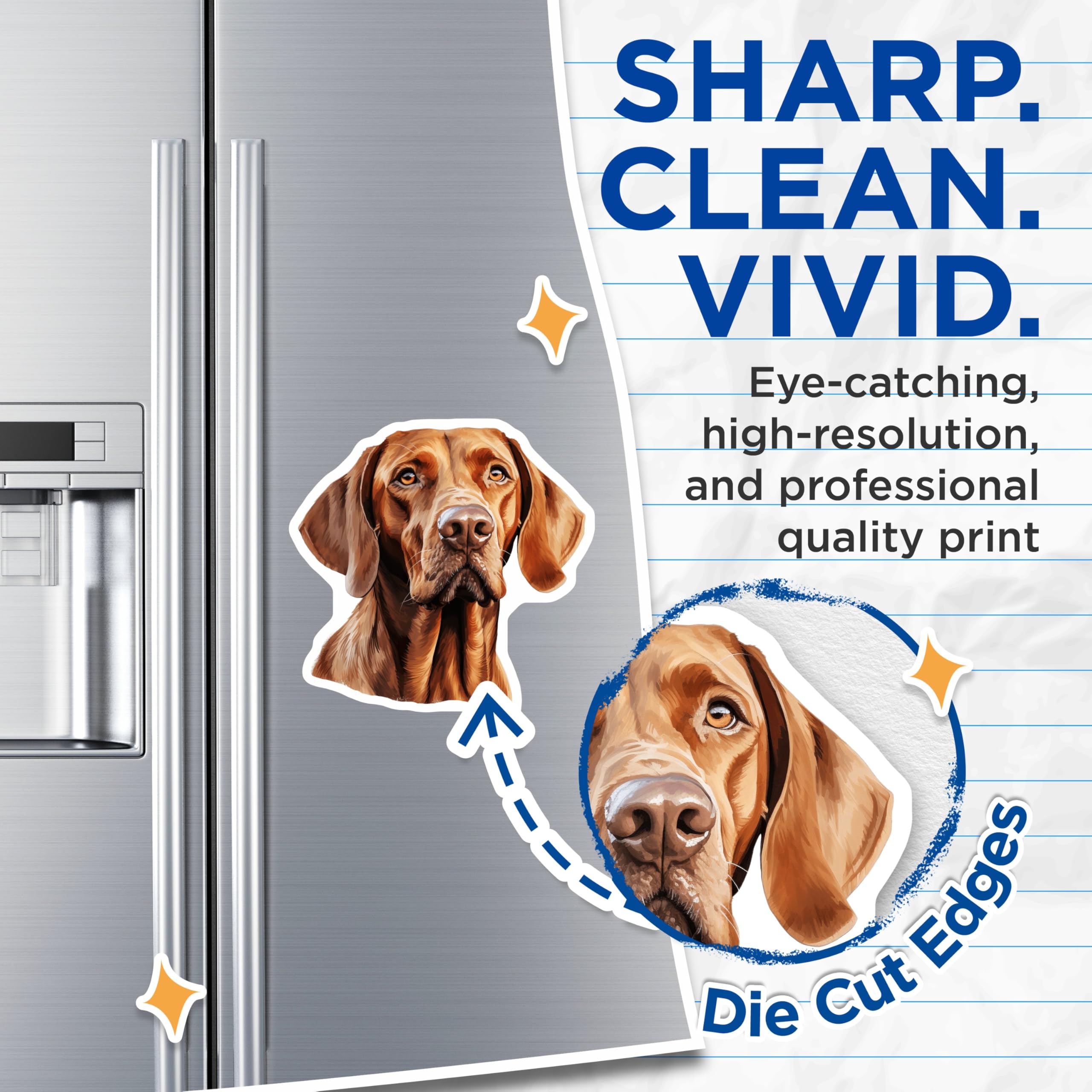 (2 Pack) Vizsla Dog Magnets - Realistic Pet Portrait Art - Dog Lover Decor - Vizsla Owner Collectible - 5 Inches On Longest Side - Thick Durable Magnet - Made in USA - MAG26709
