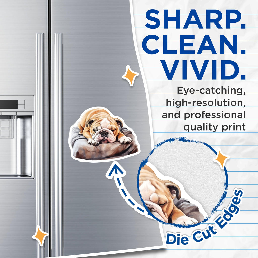 (2 Pack) Sleeping Bulldog Magnets - Cute Dog Art - Fridge Locker Decor - 5" On Longest Side - Premium Magnet - for Cars, Refrigerators, Toolboxes, Lockers - Made in USA - MAG16630