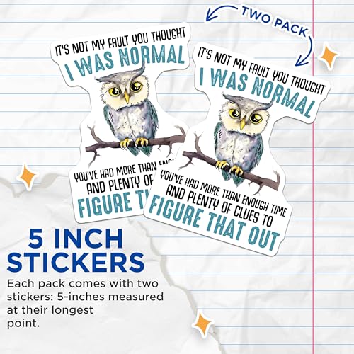 (2 Pack) Funny Owl Stickers - Humor Decal - Quirky Owl Quote - 5" On Longest Side - Sticks to Smooth Flat Surfaces - Made in USA - BMCS7739