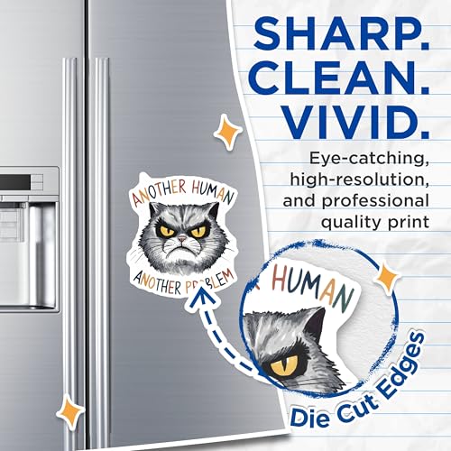 (2 Pack) Grumpy Cat Magnets Magnets - Funny Cat Quotes - Sassy Desk Decor - 5" On Longest Side - Made in USA - Sticks to Refrigerators & Metal Surfaces - MAG8515