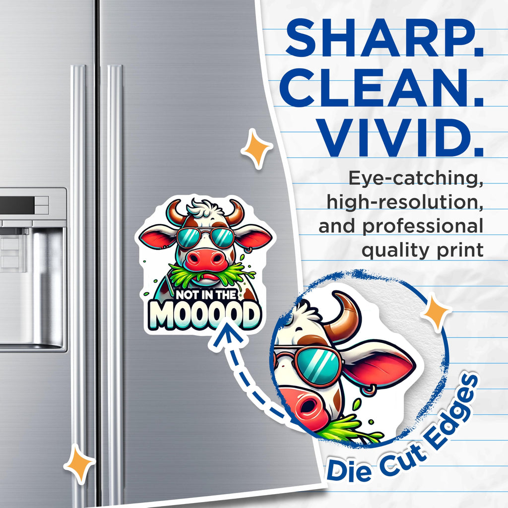 (2 Pack) Funny Cow Magnets - Not in The Mood - Kitchen Refrigerator Decor - 5" On Longest Side - Premium Magnet - for Cars, Refrigerators, Toolboxes, Lockers - Made in USA - MAG14793