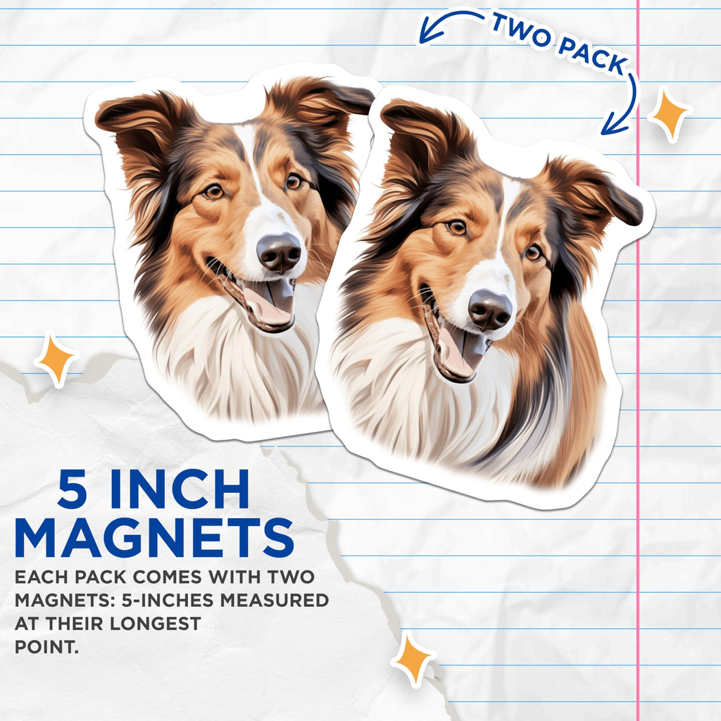 (2 Pack) Collie Dog Magnets - Dog Lover Decor - Pet Portrait Refrigerator Accent for Collie Owners - 5 Inches On Longest Side - Thick Durable Magnet - Made in USA - MAG30354