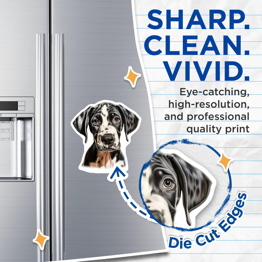 (2 Pack) Great Dane Puppy Magnets - Harlequin Dog Art Decor - Dog Mom Pet Owner Refrigerator Accessories - 5 Inches On Longest Side - Thick Durable Magnet - Made in USA - MAG25126