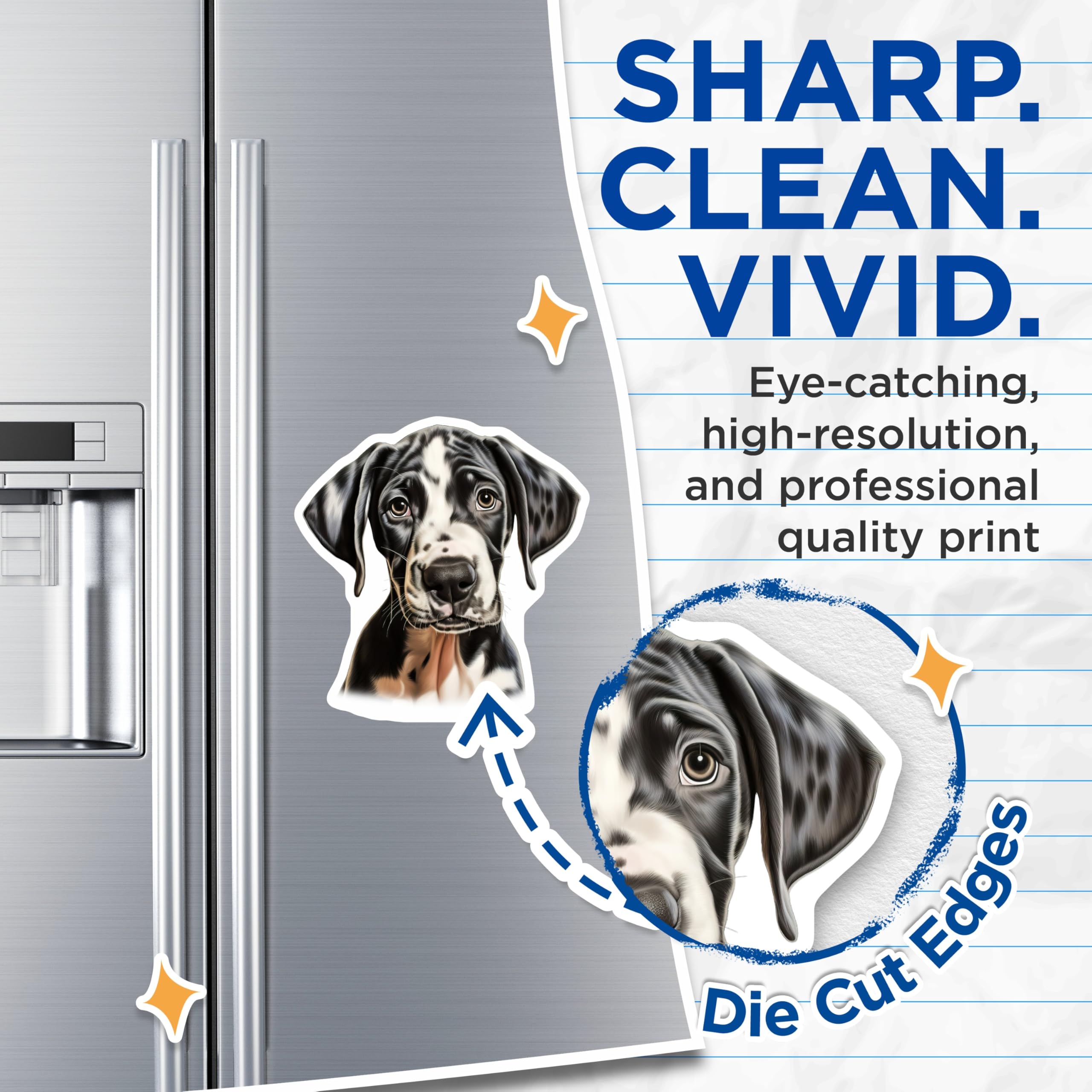(2 Pack) Great Dane Puppy Magnets - Harlequin Dog Art Decor - Dog Mom Pet Owner Refrigerator Accessories - 5 Inches On Longest Side - Thick Durable Magnet - Made in USA - MAG25126