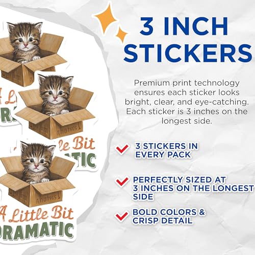 (3 Pack) Dramatic Kitten Decals - Cat in Box - Funny Cat Laptop Decal - 3 Inches On Longest Side - Easy Peel & Apply - Made in USA - 3MCS4692