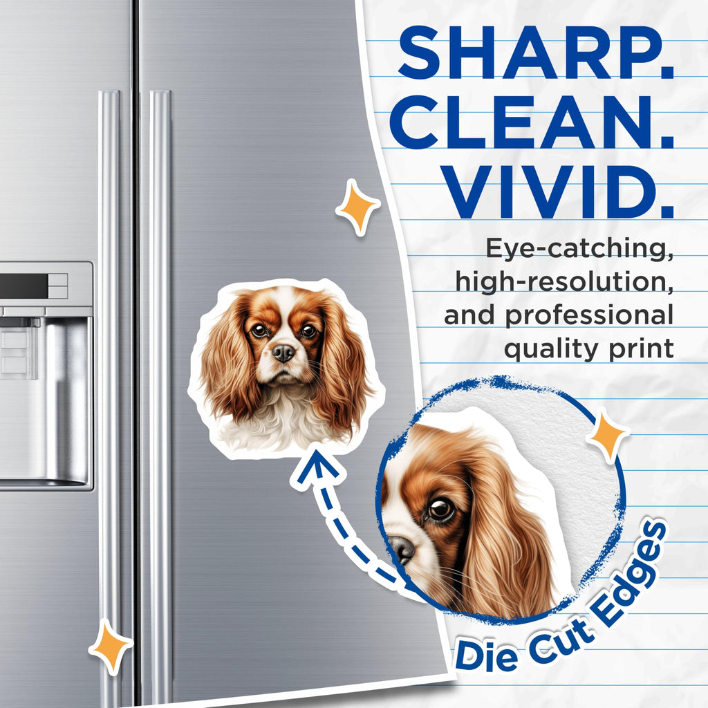 (2 Pack) Cavalier King Charles Spaniel Magnets - Dog Lover Accessory - Pet Owner Kitchen Decor - 5 Inches On Longest Side - Thick Durable Magnet - Made in USA - MAG29611