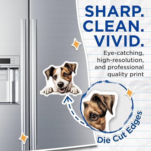 (2 Pack) Animal Lover Decor Magnet - Fridge Decor - Kitchen Accessories - 5" On Longest Side - Sticks to Smooth Flat Surfaces - Made in USA - MAG10243
