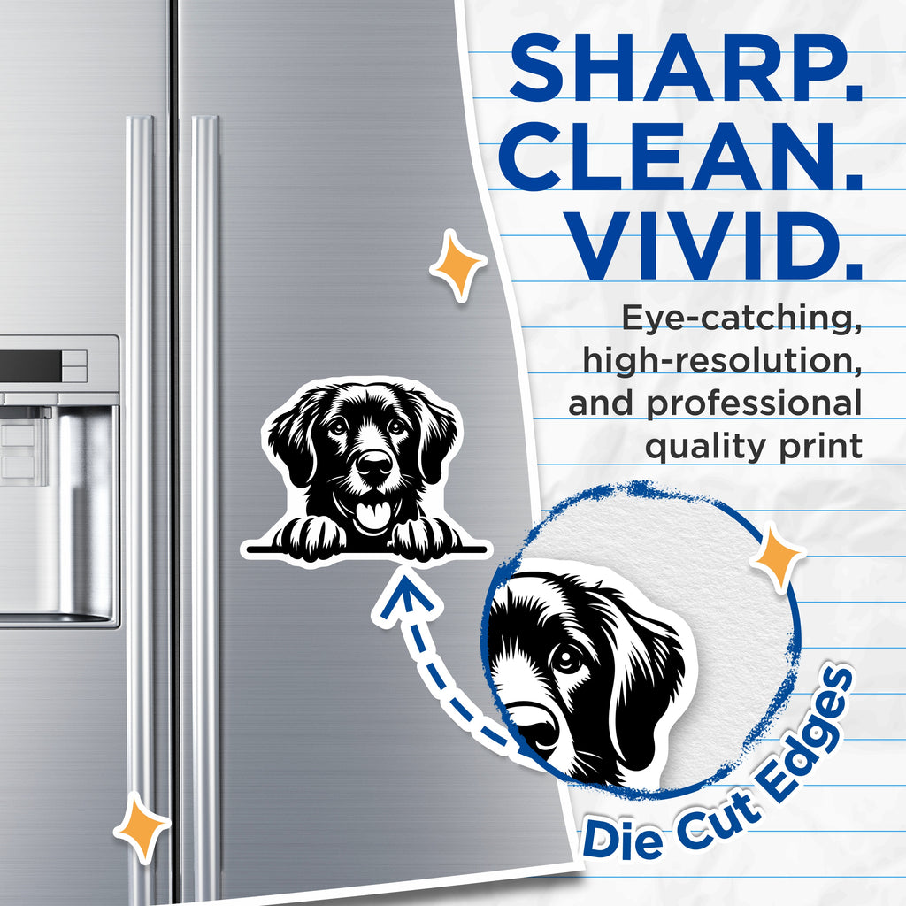 (2 Pack) Golden Retriever Magnets - Dog Mom Fridge Decor - Puppy Lover Kitchen Magnet - 5 Inches On Longest Side - Thick Durable Magnet - Made in USA - MAG39204