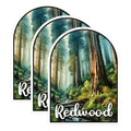 (3 Pack) Redwood Forest Decals - National Park Sticker - Nature Laptop Decal - 3 Inches On Longest Side - Easy Peel & Apply - Made in USA - 3MCS0453