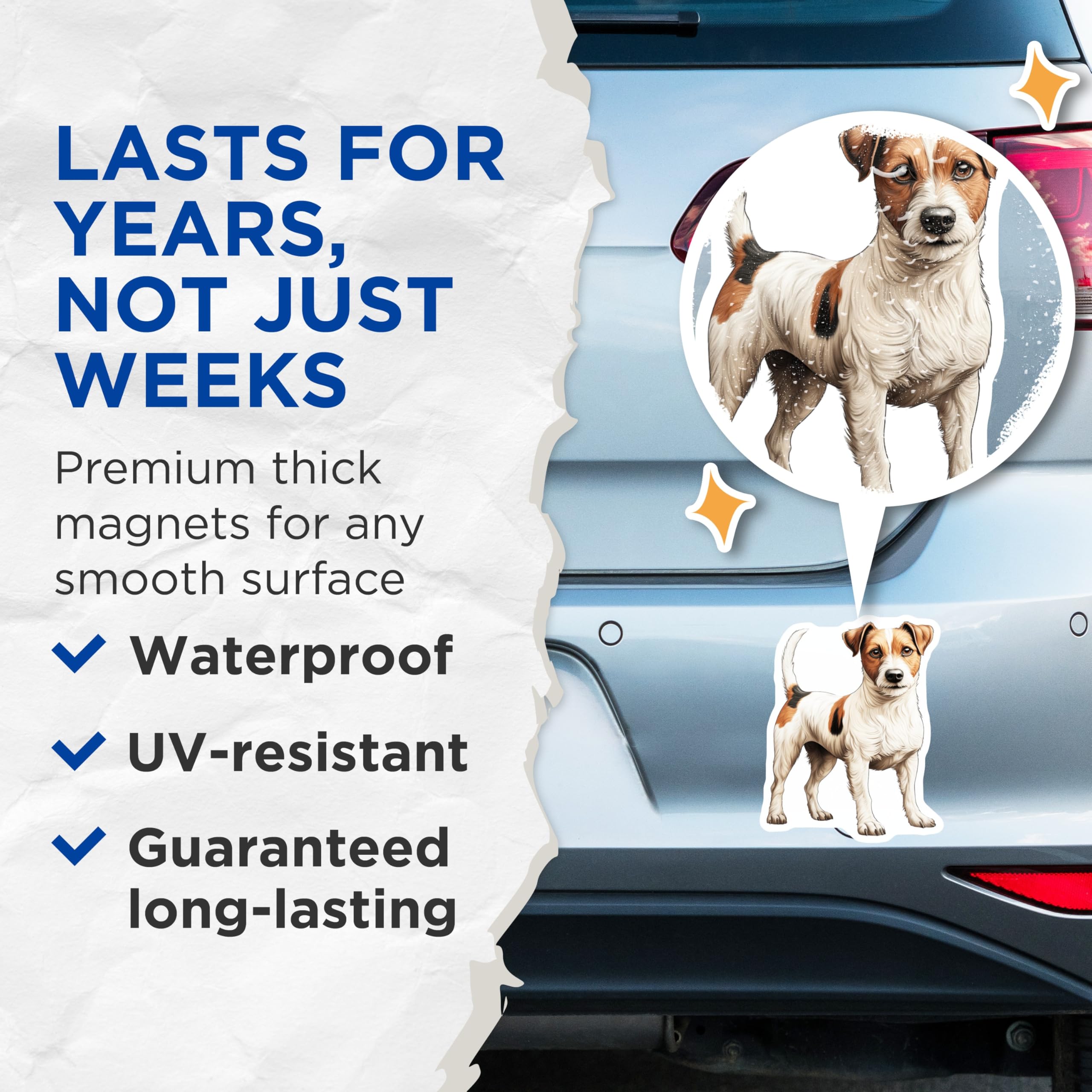 (2 Pack) Jack Russell Terrier Magnets - Dog Lover Fridge Decor - Pet Owner Kitchen Item - Animal Lover - 5 Inches On Longest Side - Thick Durable Magnet - Made in USA - MAG28888