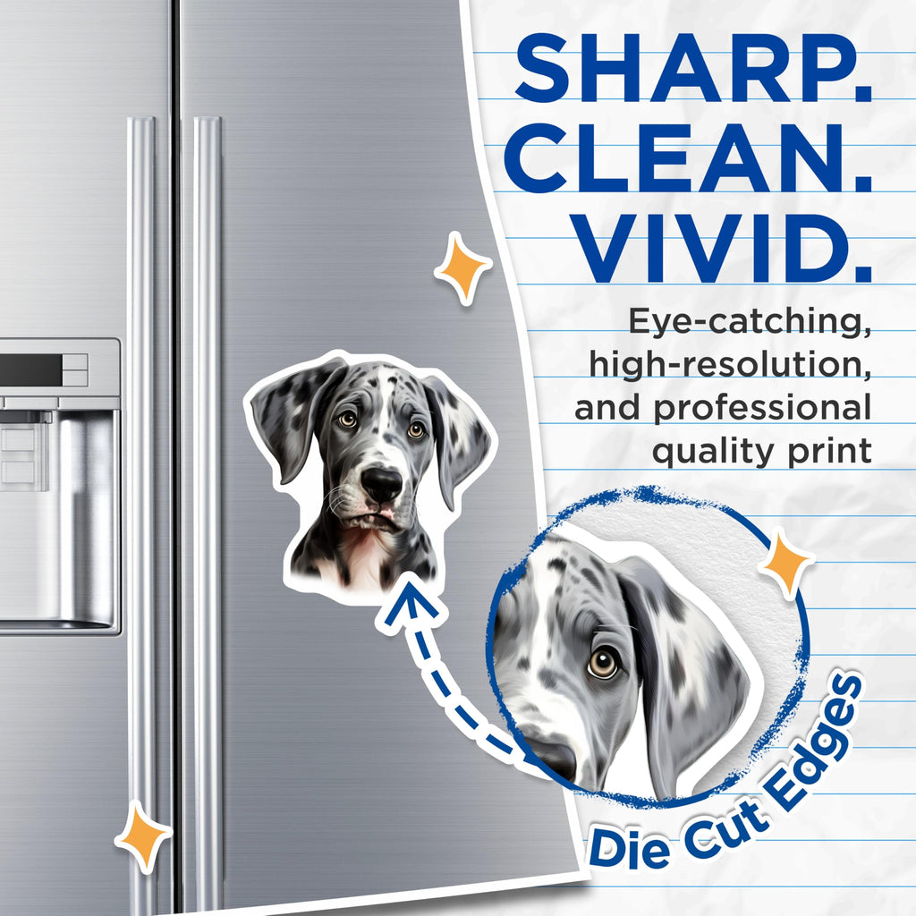 (2 Pack) Great Dane Puppy Magnets - Harlequin Dog Lover Decor - Gentle Giant Pet Owner - 5 Inches On Longest Side - Thick Durable Magnet - Made in USA - MAG30479