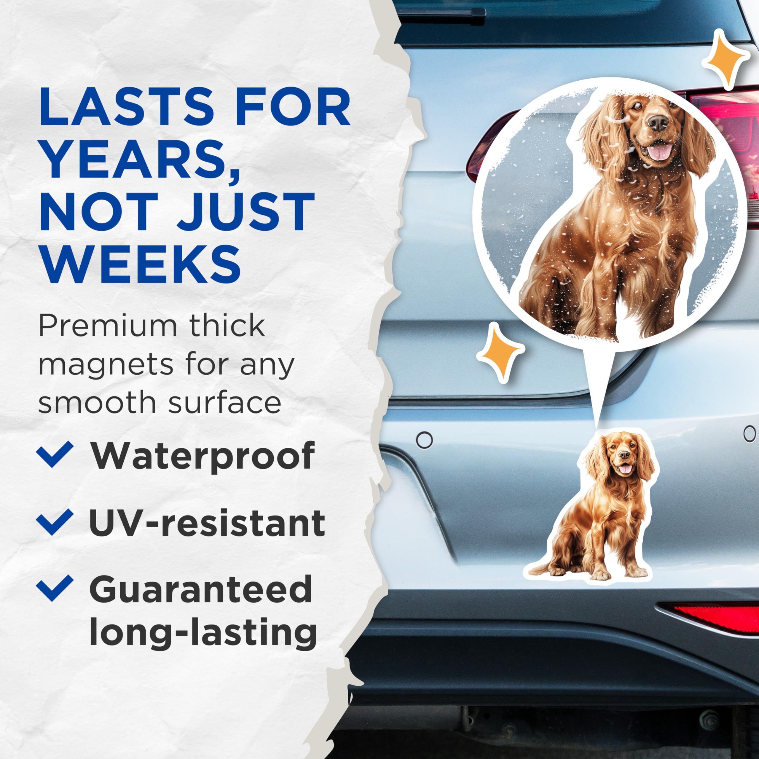 (2 Pack) Adorable Cocker Spaniel Magnets - Happy Dog Lover Decor - Cute Pet Art Refrigerator Magnets for Dog Moms - 5 Inches On Longest Side - Thick Durable Magnet - Made in USA - MAG27765