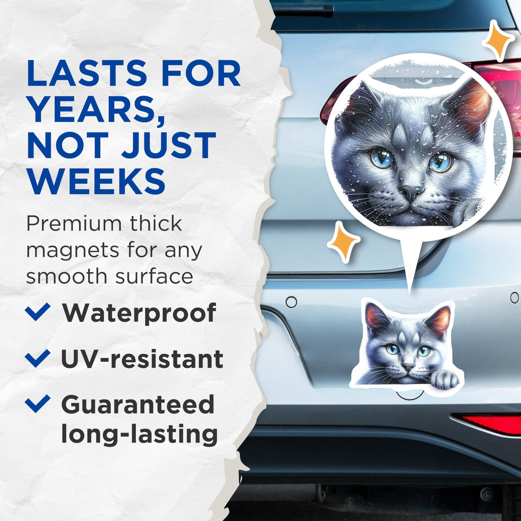 (2 Pack) Cat Magnets - Gray Cat Portrait - Blue Eyed Kitty Refrigerator Magnets - 5" On Longest Side - Premium Magnet - for Cars, Refrigerators, Toolboxes, Lockers - Made in USA - MAG14109