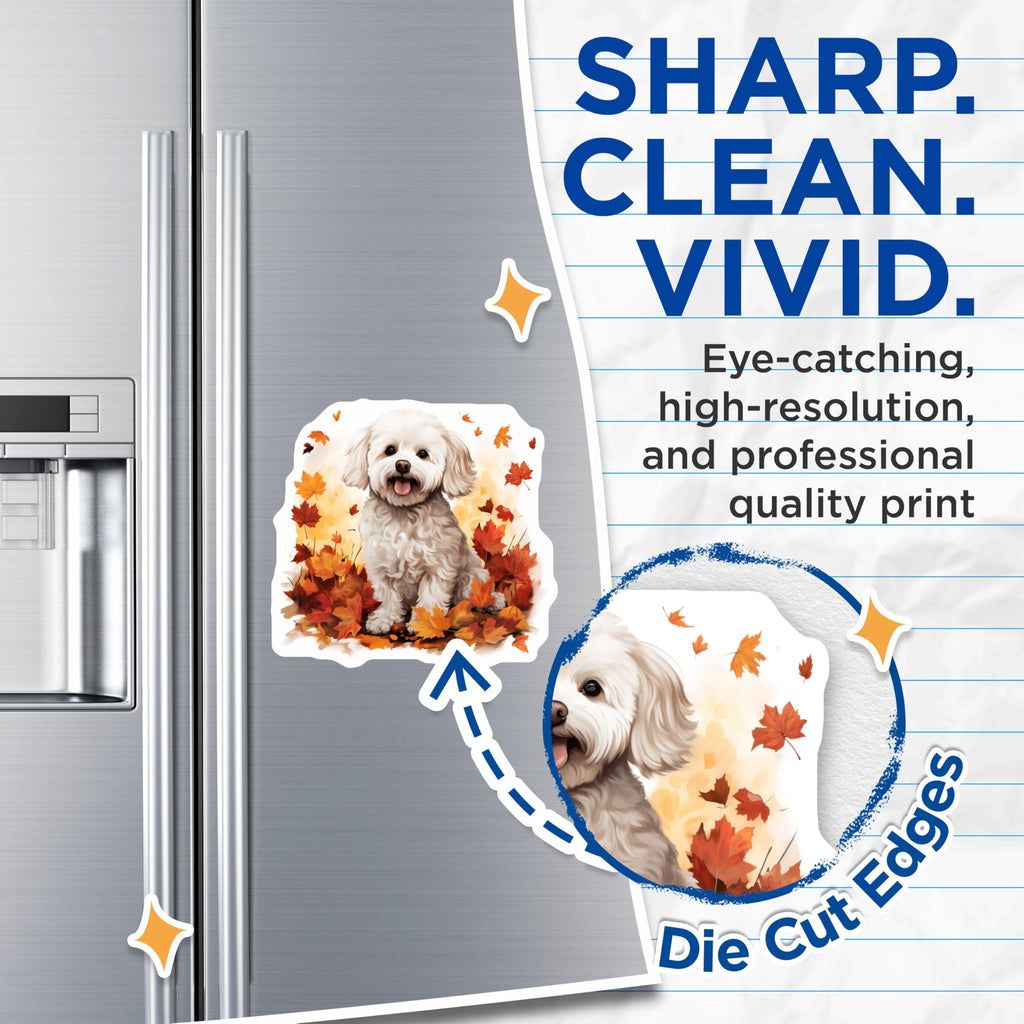 (2 Pack) Cute Fluffy Dog Magnets - Autumn Leaves Decor - Maltese Lover Refrigerator Accessory - 5 Inches On Longest Side - Thick Durable Magnet - Made in USA - MAG28311