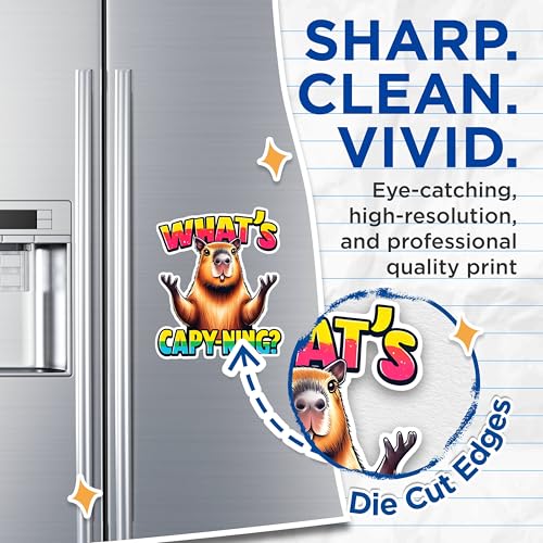 (2 Pack) Fun Capybara Magnets - Cute Capybara Saying Magnets - Novelty Capybara Decor Magnets for Fridge- 5" On Longest Side - for Fridges, Toolboxes, Cars - Made in USA - MAG2667