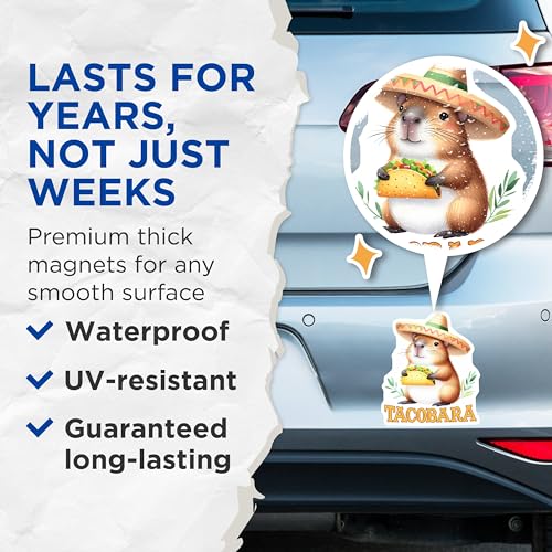 (2 Pack) Tacobara Magnets - Cute Animal Magnets - Fun Kitchen Decor - 5" On Longest Side - for Cars, Refrigerators, Toolboxes, Lockers - Made in USA BMCS3258
