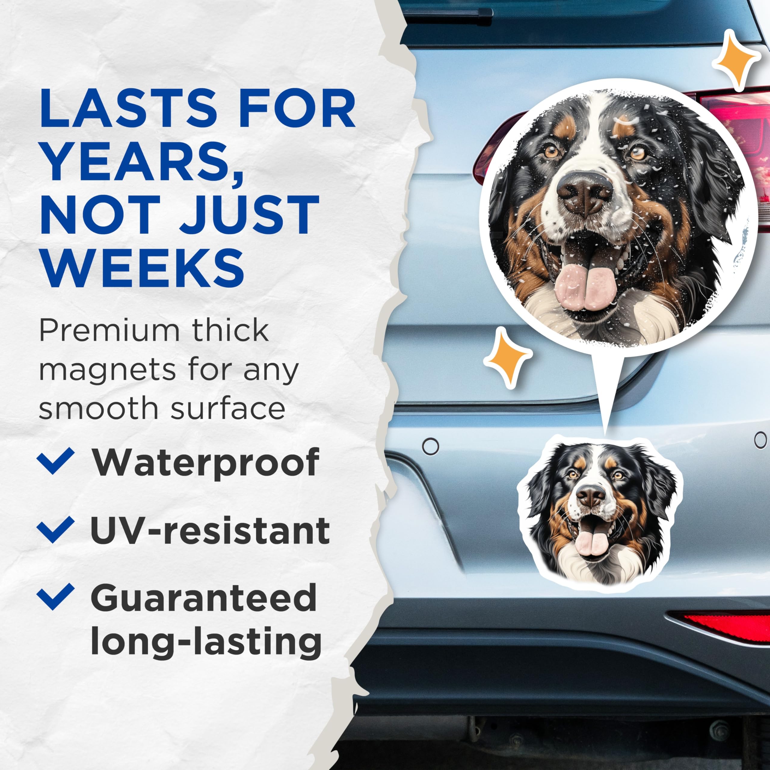 (2 Pack) Bernese Mountain Dog Magnets - Dog Lover Decor - Pet Parent Supplies - 5 Inches On Longest Side - Thick Durable Magnet - Made in USA - MAG29757
