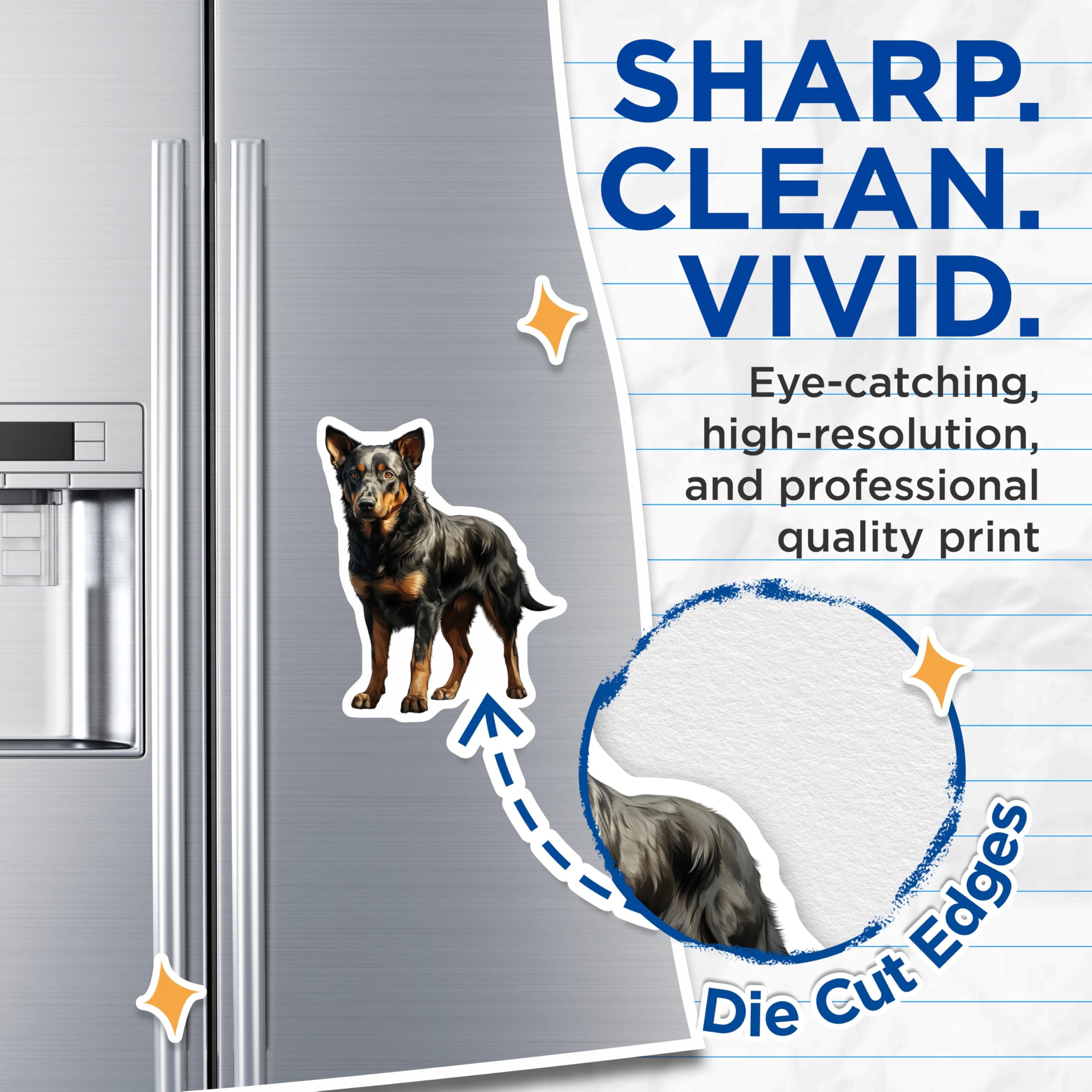 (2 Pack) Australian Cattle Dog Magnets - Blue Heeler Dog Art - Pet Portrait Refrigerator Magnets - 5 Inches On Longest Side - Thick Durable Magnet - Made in USA - MAG30154