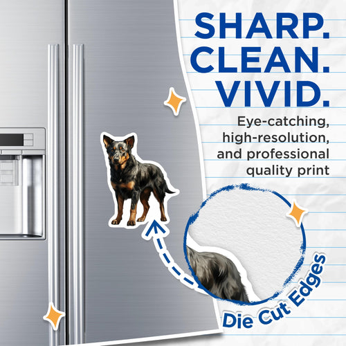 (2 Pack) Australian Cattle Dog Magnets - Blue Heeler Dog Art - Pet Portrait Refrigerator Magnets - 5 Inches On Longest Side - Thick Durable Magnet - Made in USA - MAG30154