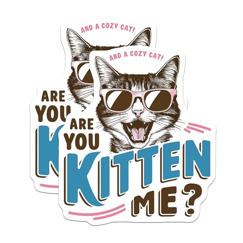 (2 Pack) are You Kitten Me Stickers - Funny Cat Stickers - Cute Cat Meme Stickers - 5" On Longest Side - Sticks to Smooth Flat Surfaces - Made in USA - BMCS5936
