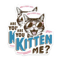 (2 Pack) are You Kitten Me Stickers - Funny Cat Stickers - Cute Cat Meme Stickers - 5" On Longest Side - Sticks to Smooth Flat Surfaces - Made in USA - BMCS5936